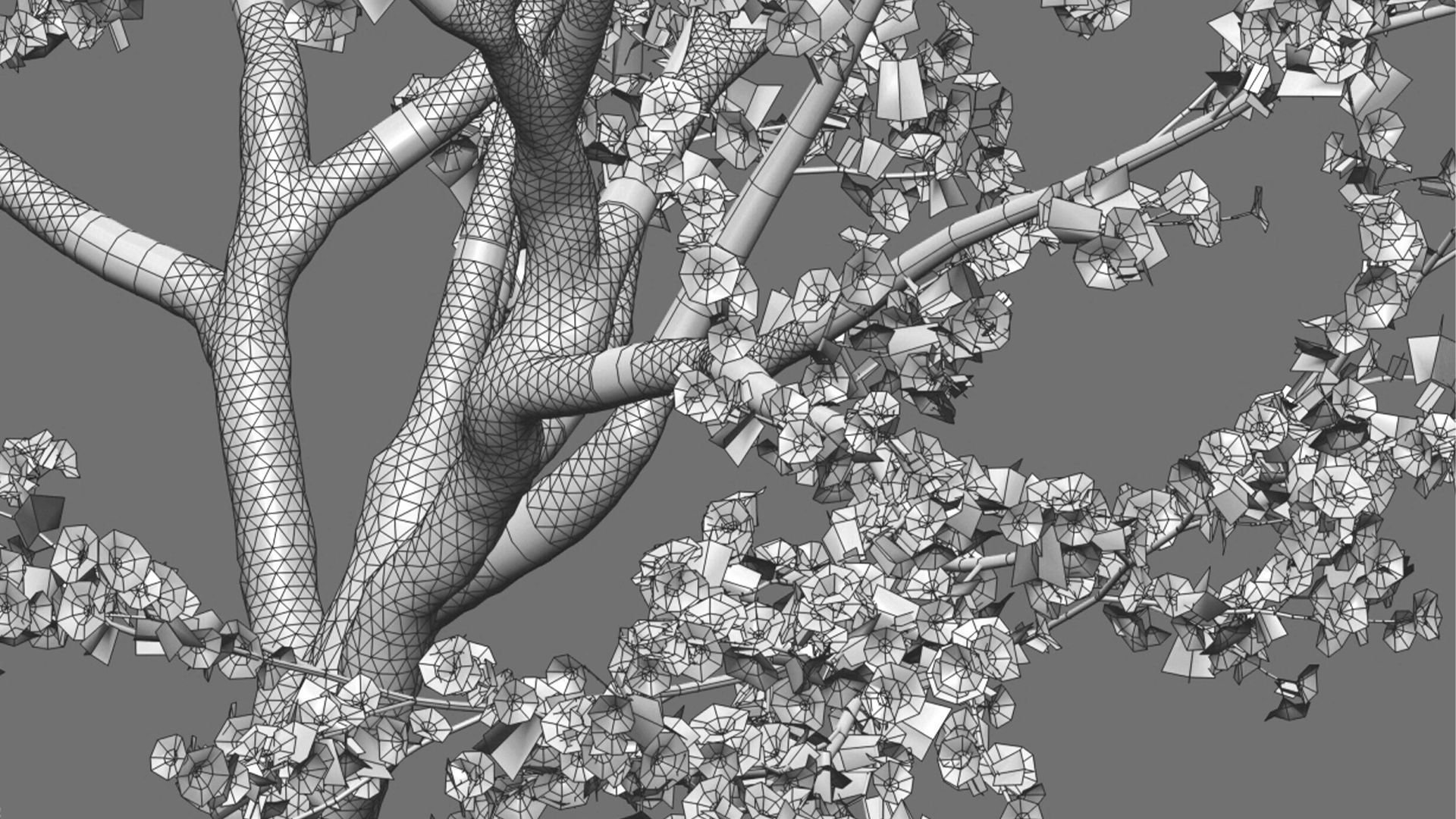 Prunus persica - Peach trees - Nectarine trees 3D model_6