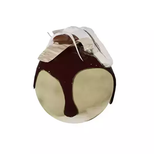 tako tako chocolate ball with icing