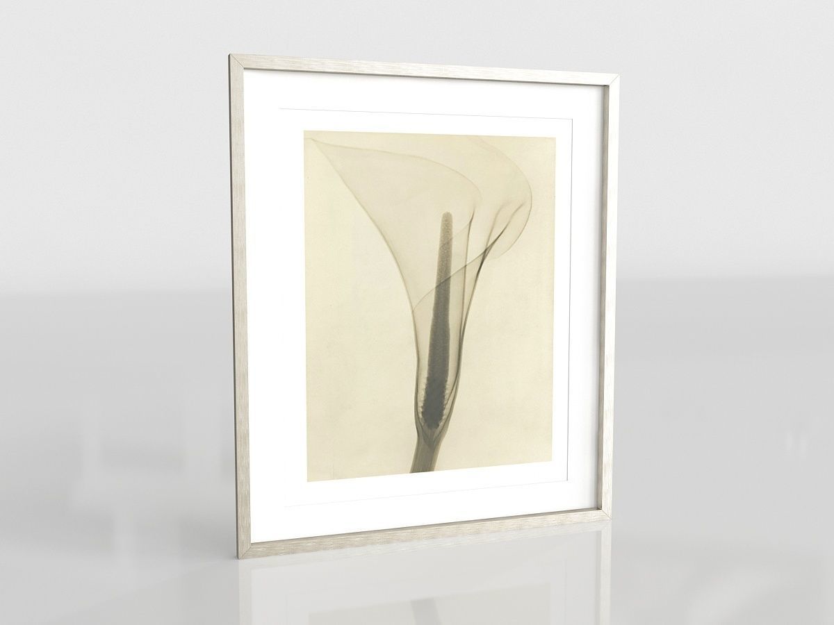 Dain Tasker Photography XRay Of Lily Free 3D model_8