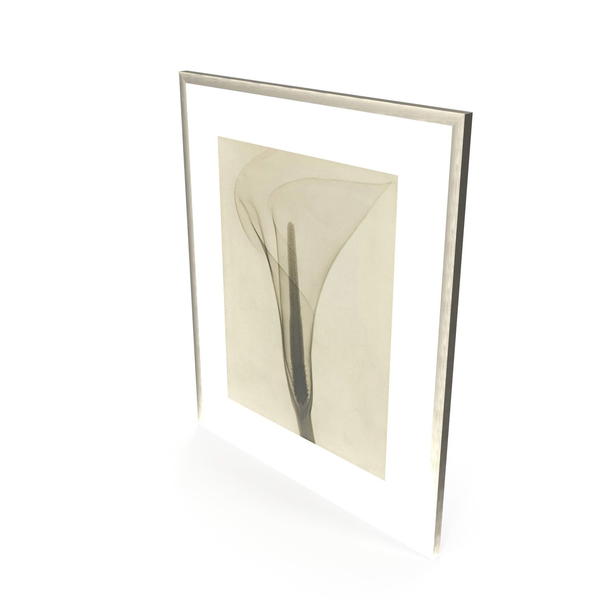 Dain Tasker Photography XRay Of Lily Free 3D model_3