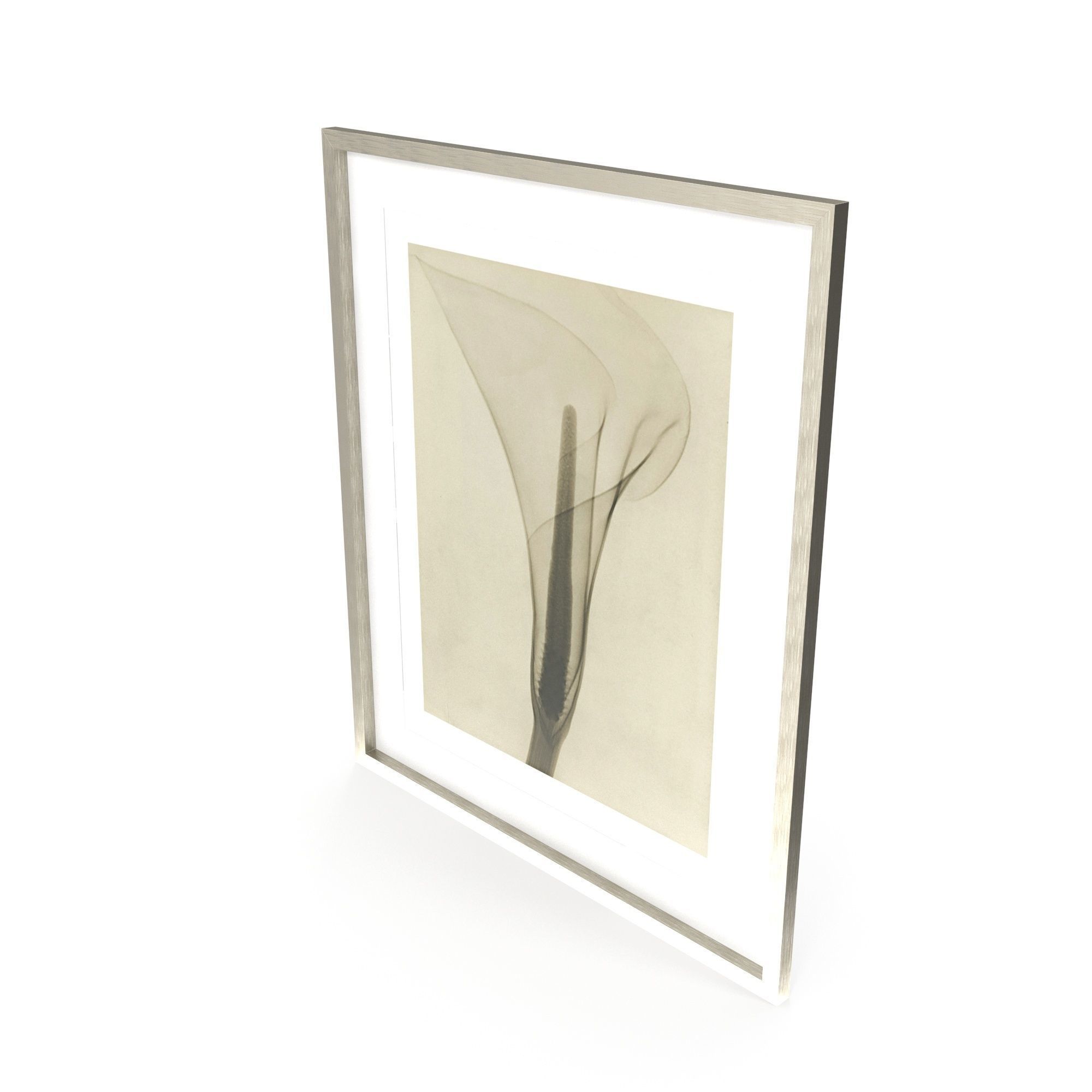 Dain Tasker Photography XRay Of Lily Free 3D model_2