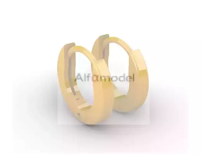 Hoop Earring Version 