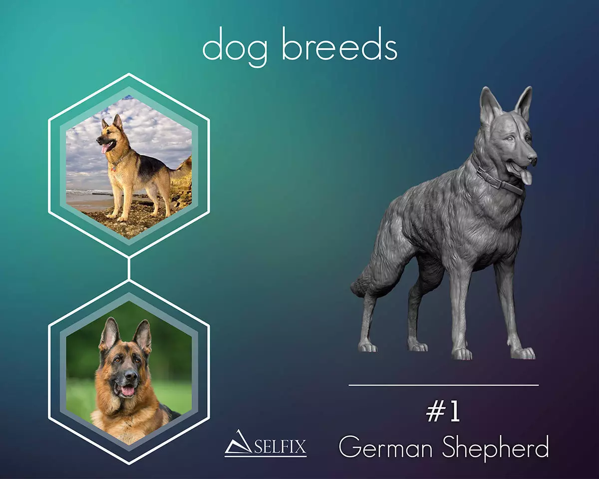 German Shepherd model 3D print model