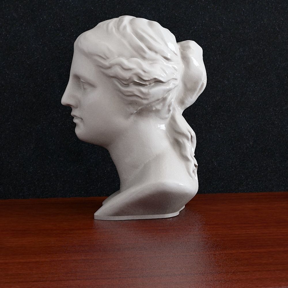 Bust Venera Godless woman  3D print model_2