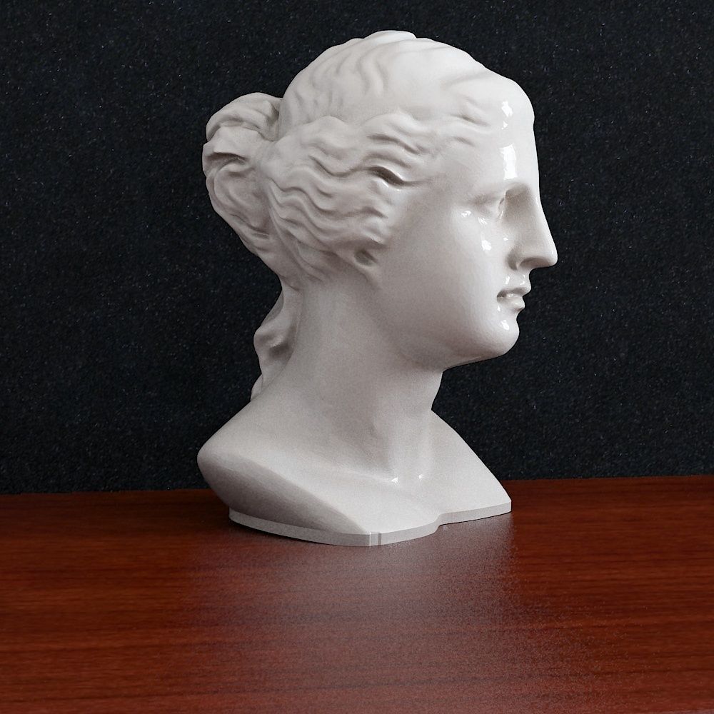 Bust Venera Godless woman  3D print model_1