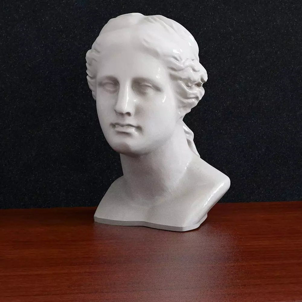 Bust Venera Godless woman  3D print model_0