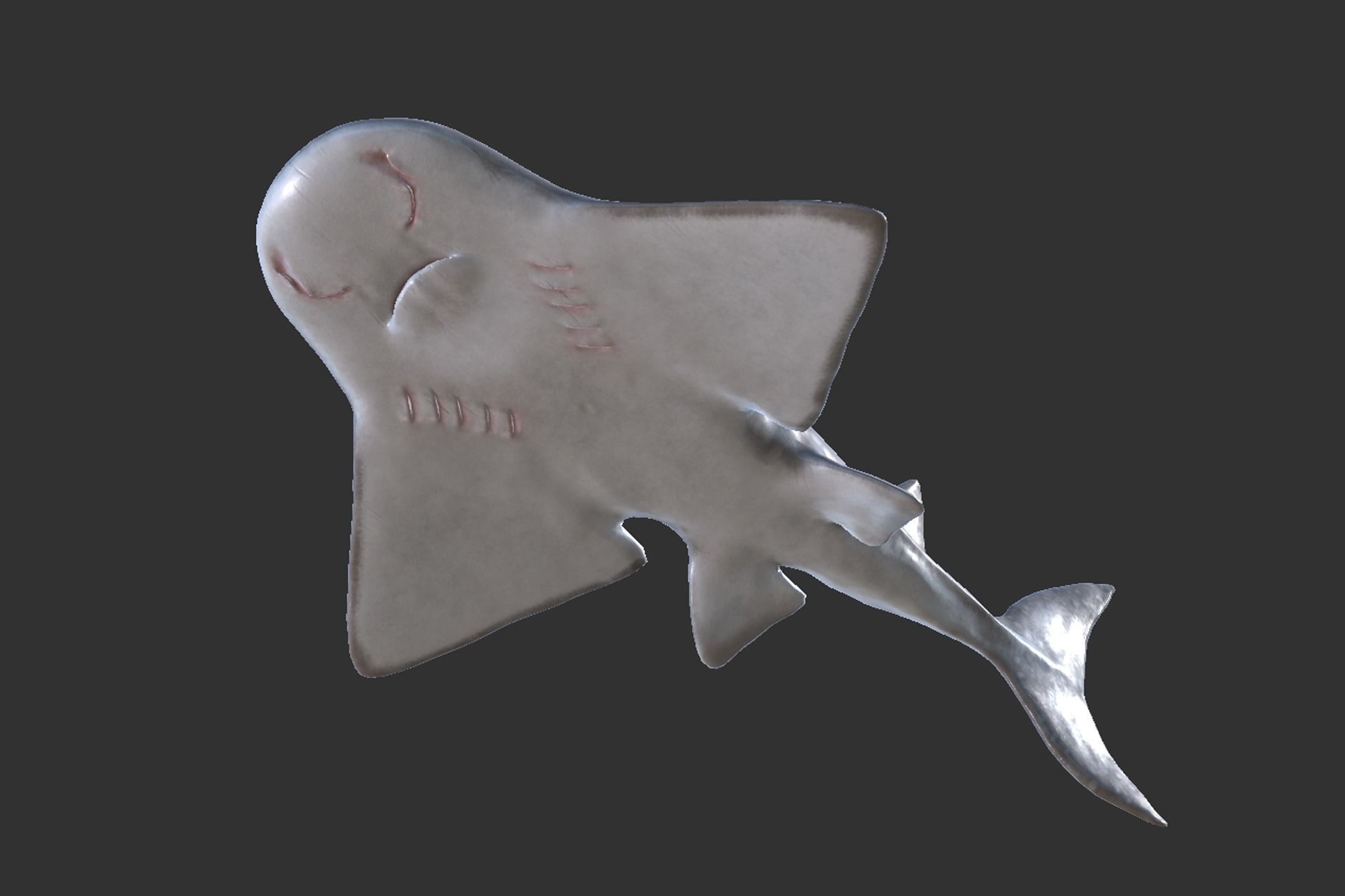 Shark Ray Low-poly 3D model_6