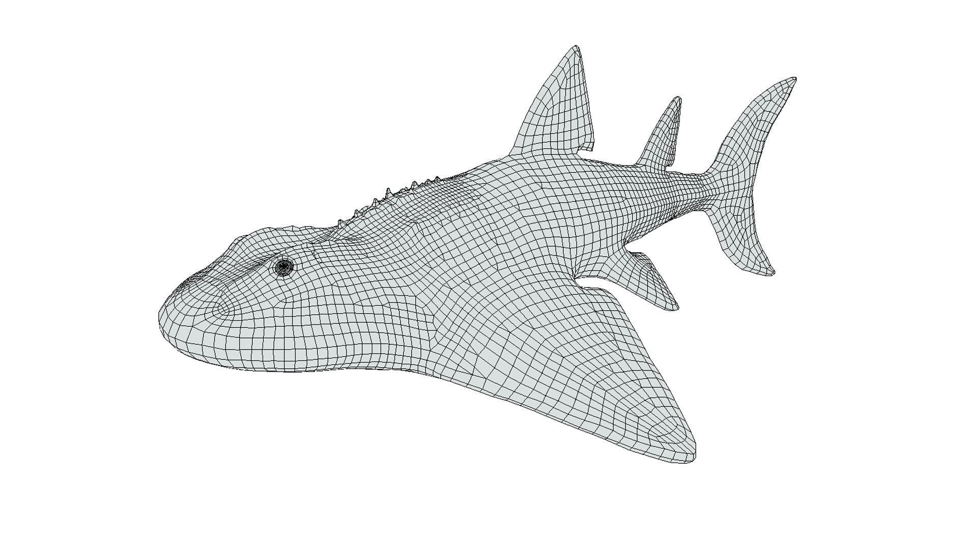 Shark Ray Low-poly 3D model_2