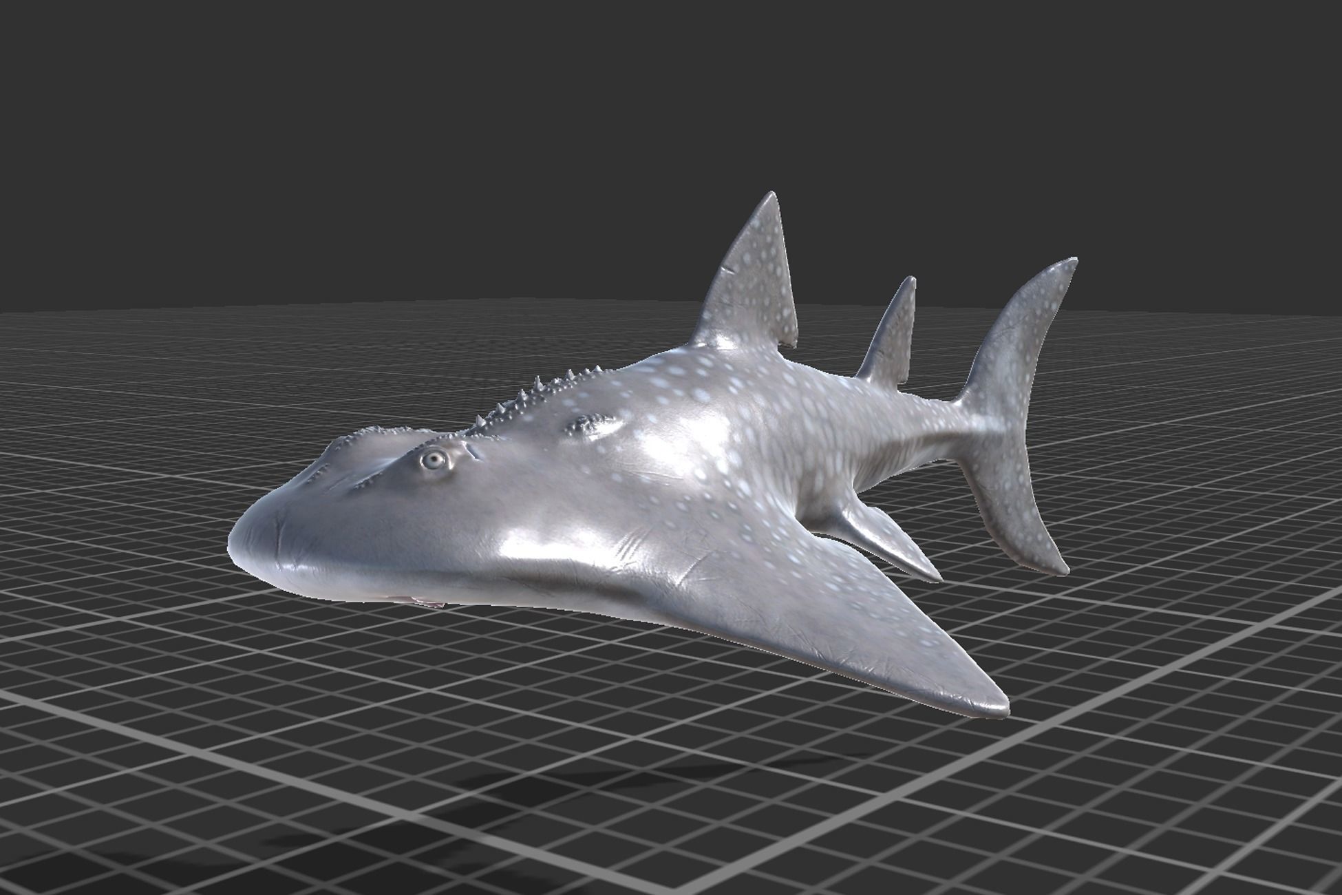 Shark Ray Low-poly 3D model_4