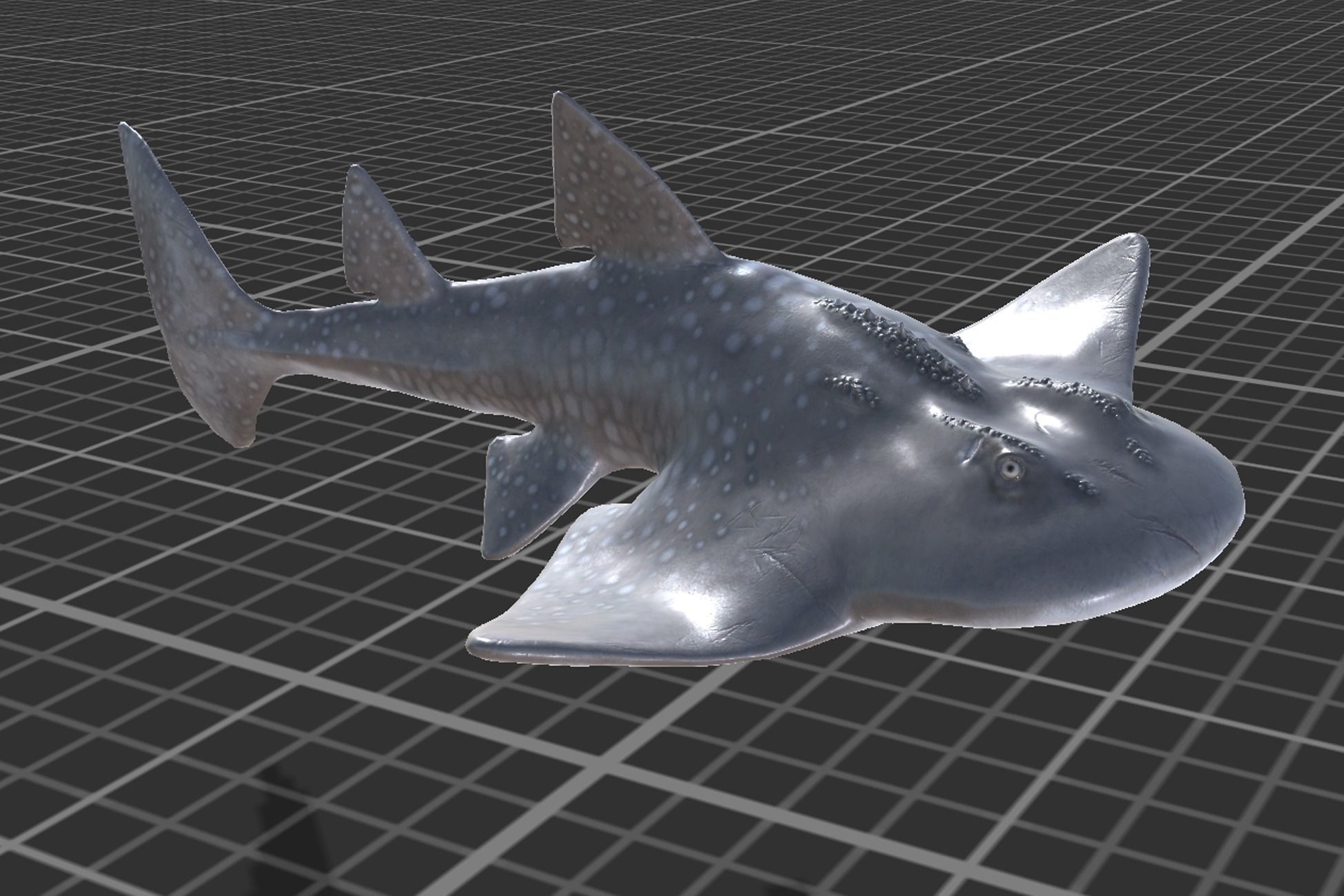 Shark Ray Low-poly 3D model_8