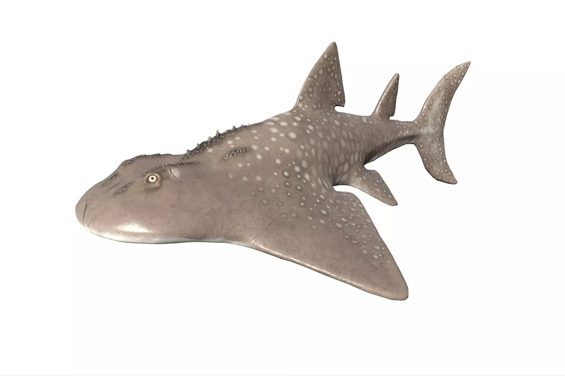 Shark Ray Low-poly 3D model_0