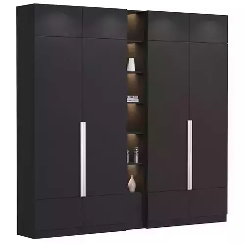 Cupboard 2 wardrobe with doors and shelves 3D model