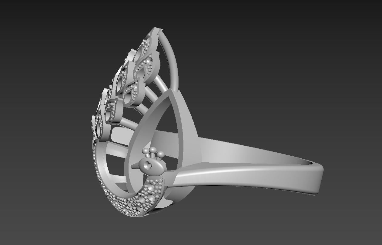 Peacock Ring R 58 3D print model_8