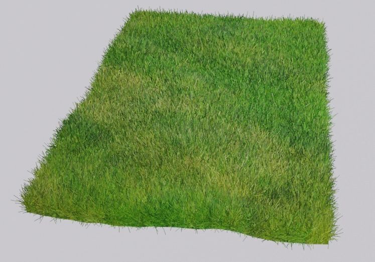 Grass piece of Low-poly 3D model_2