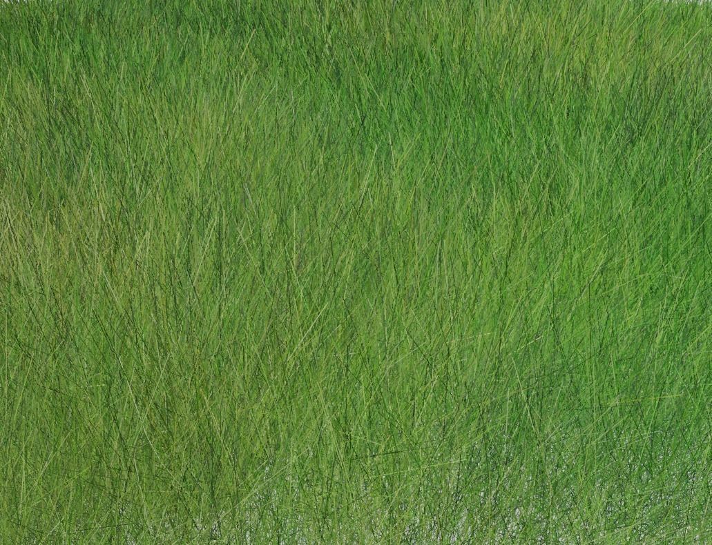 Grass piece of Low-poly 3D model_1