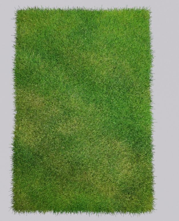 Grass piece of Low-poly 3D model_3
