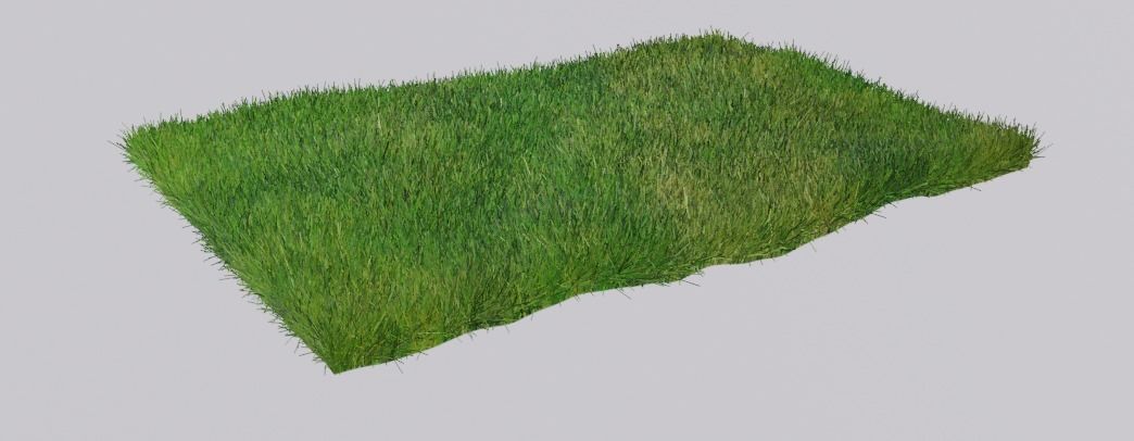 Grass piece of Low-poly 3D model_4