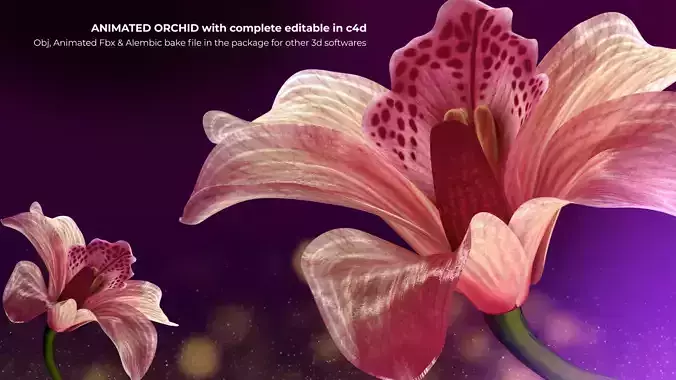 Beautiful Animated Orchid Flower 3D model 3D model
