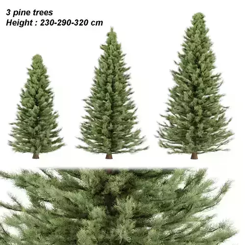 pine trees collection vol 22