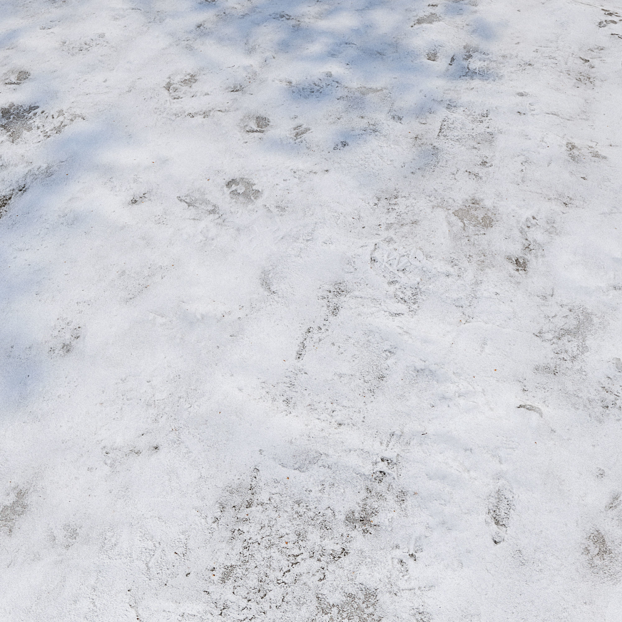 Ultra realistic Snow ground 4 2021 Hq Scan  3D model_4