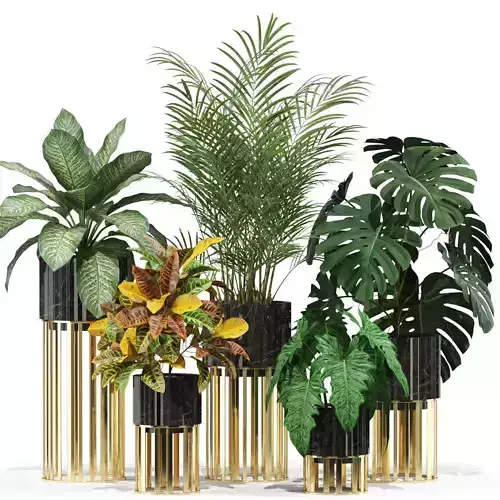 Plants collection 607 3D model