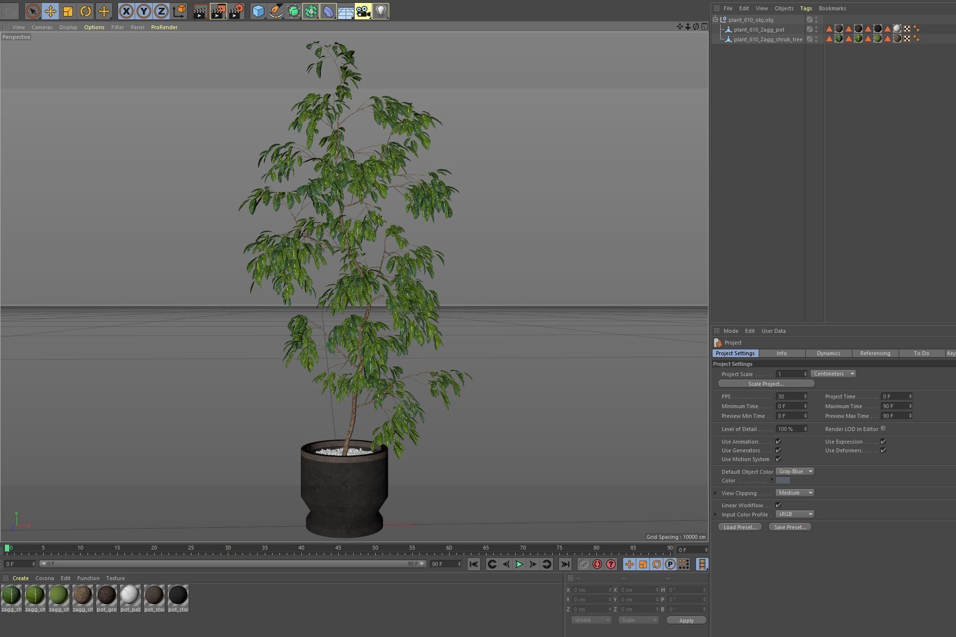 Plants collection 610 3D model_5