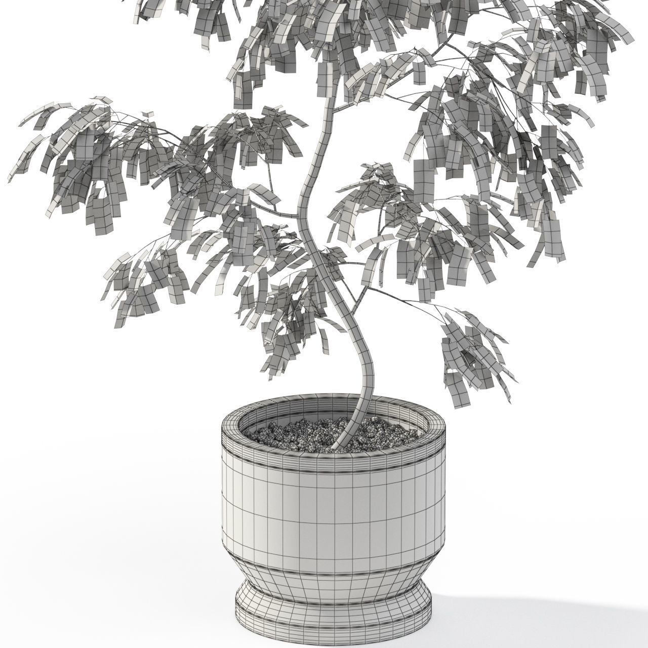 Plants collection 610 3D model_2
