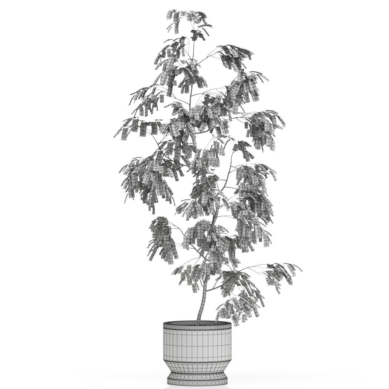 Plants collection 610 3D model_3