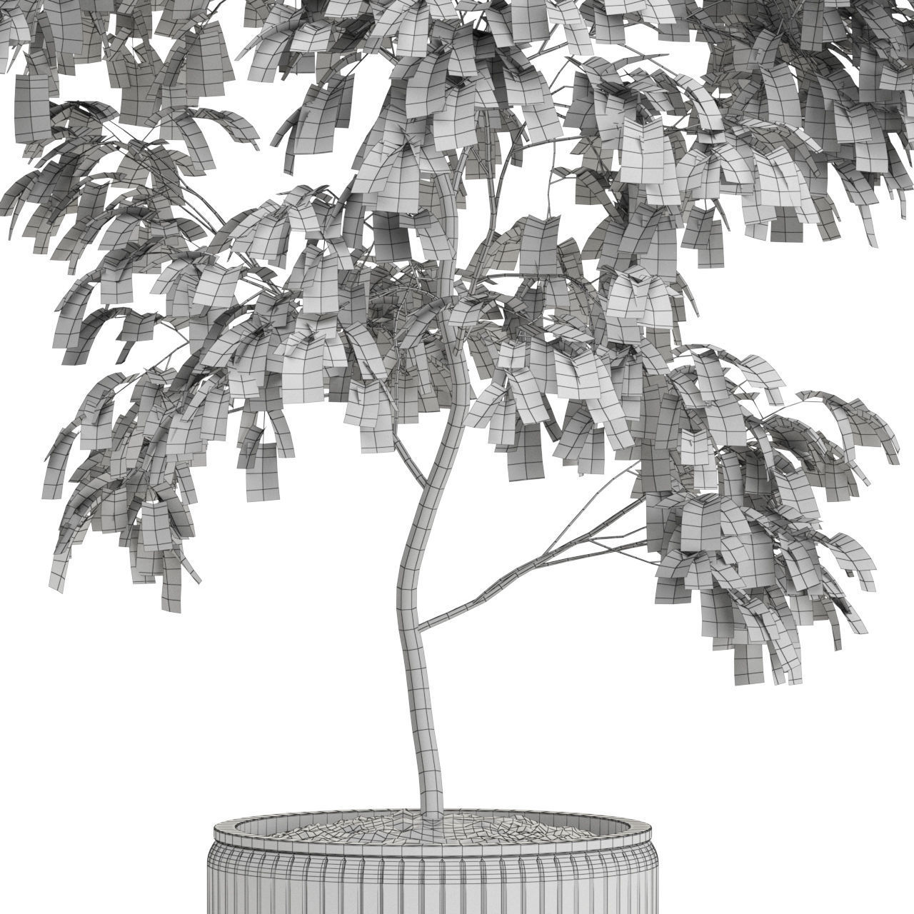 Plants collection 612 3D model_3