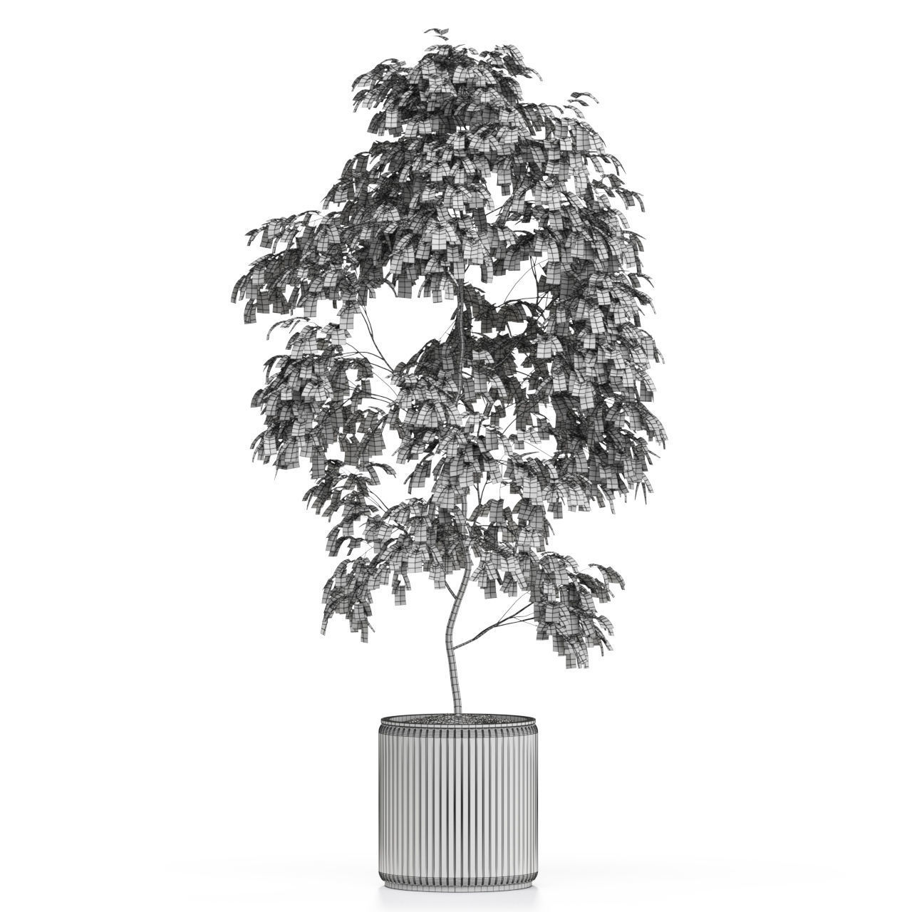 Plants collection 612 3D model_4