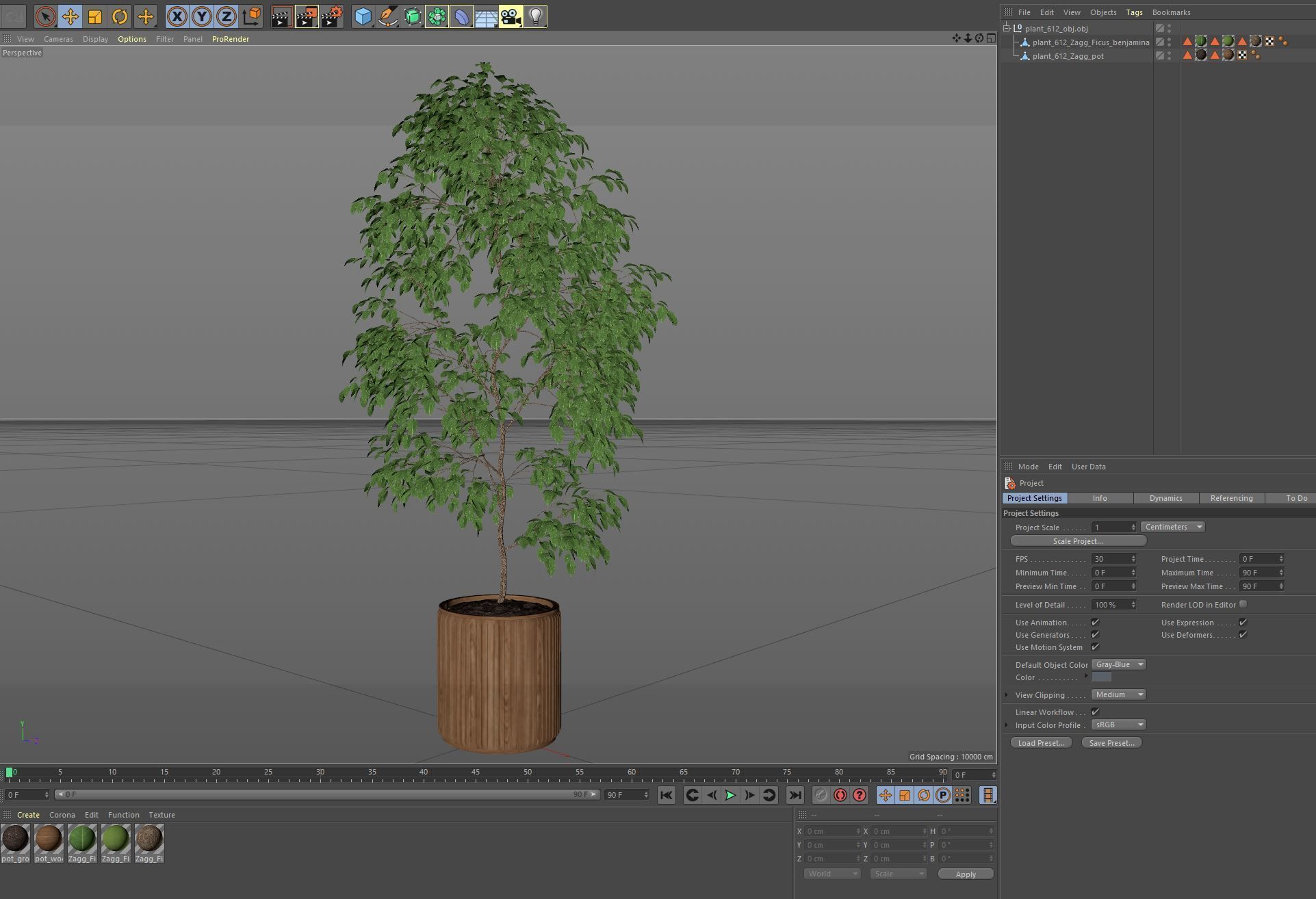 Plants collection 612 3D model_6