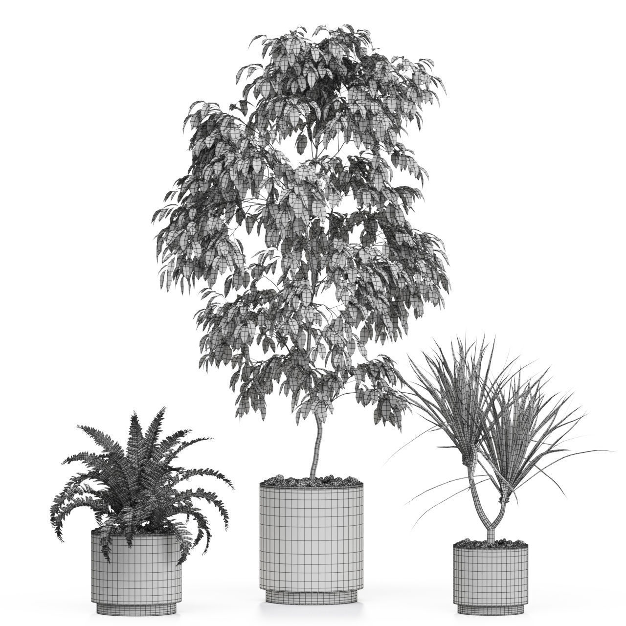 Plants collection 613 3D model_3