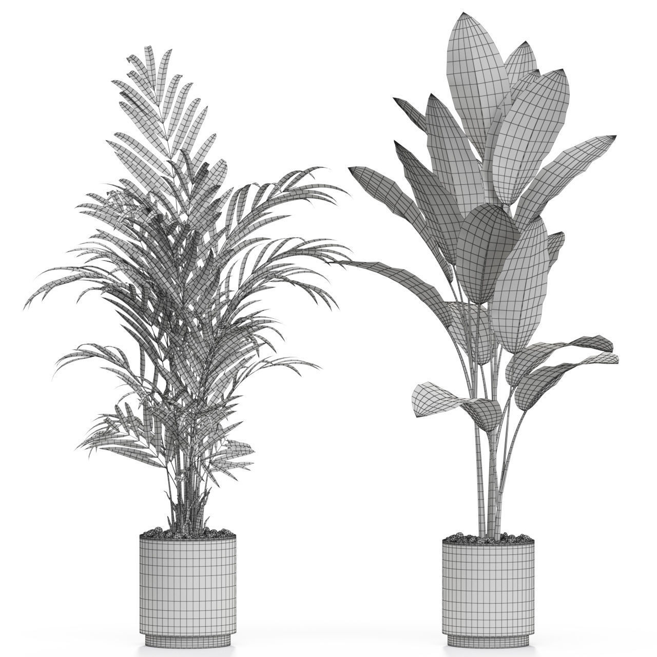Plants collection 613 3D model_4