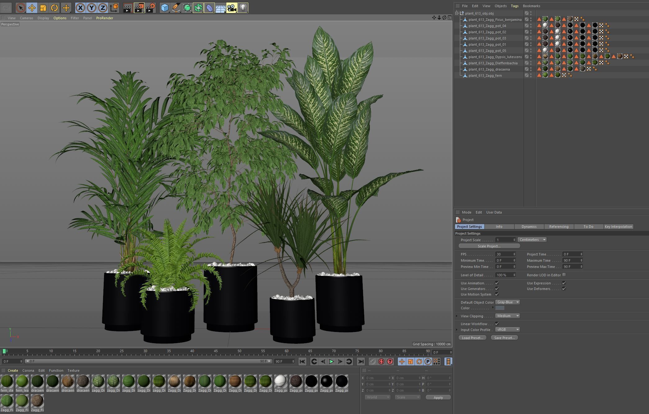 Plants collection 613 3D model_6