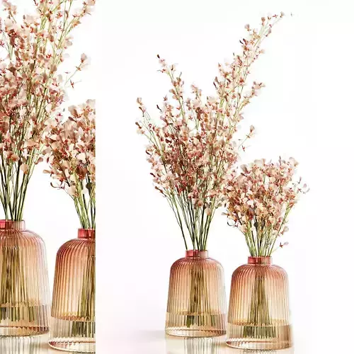 Orchid Oncidium Pink