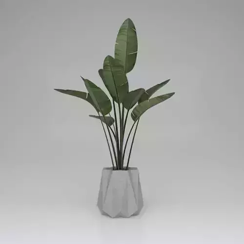 Flowerbox plant in concrete pot