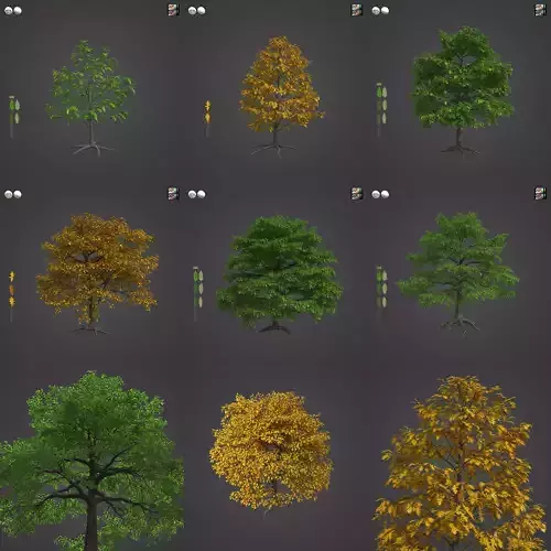 2021 PBR Turkey Oak Collection - Quercus Cerris  3D model