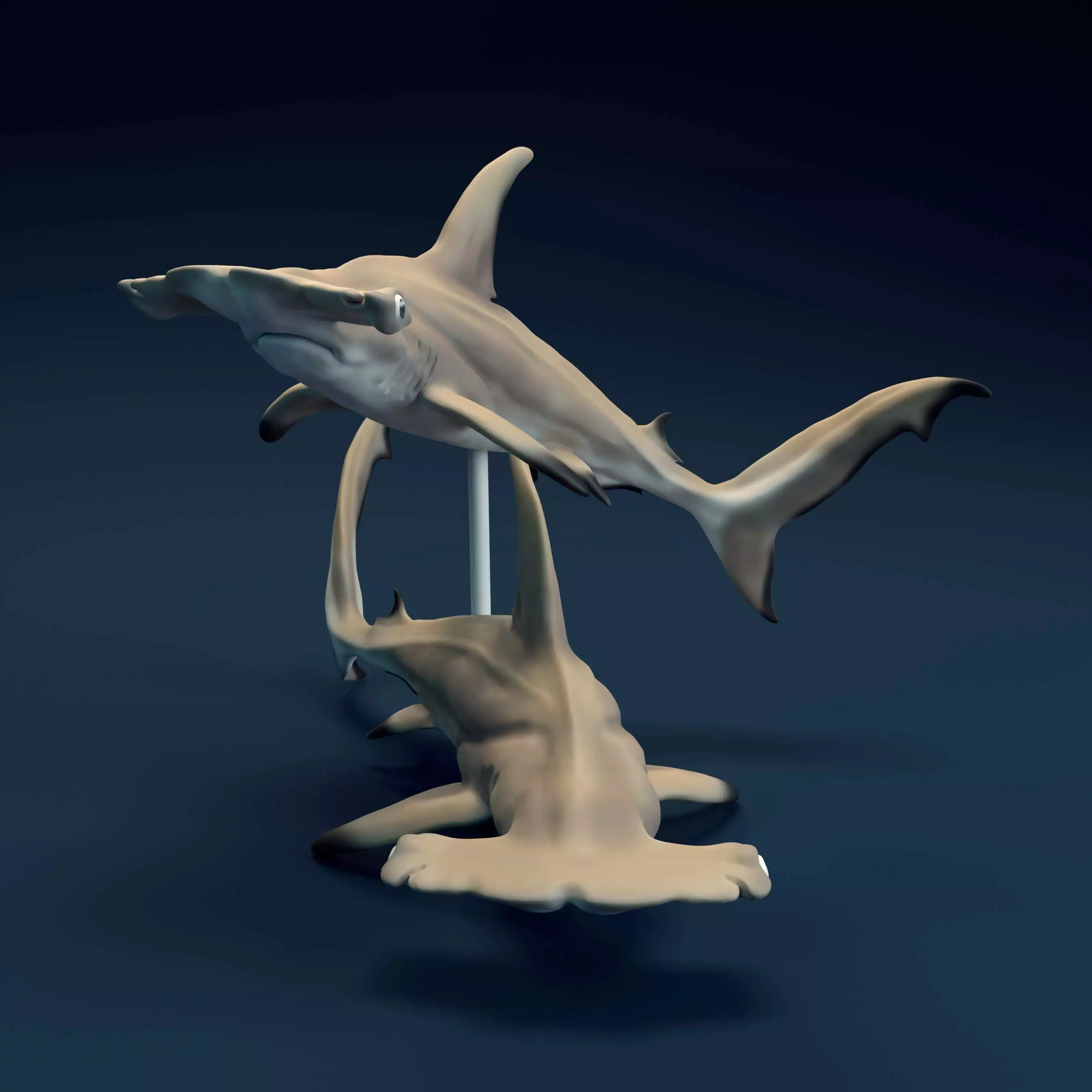 Hammerhead Sharks for 3D printing 3D print model