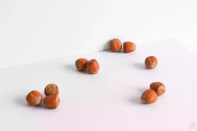Hazelnut 3D model