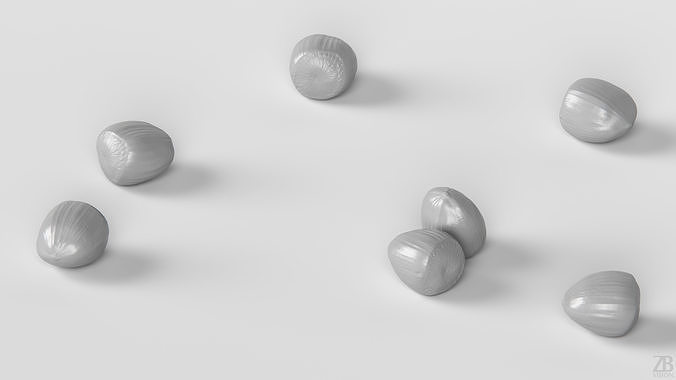 Hazelnut 3D model 4
