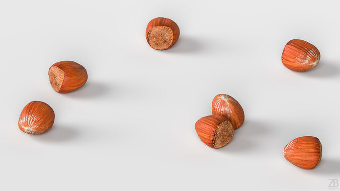 Hazelnut 3D model 3