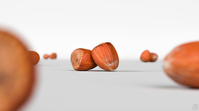 Hazelnut 3D model 2