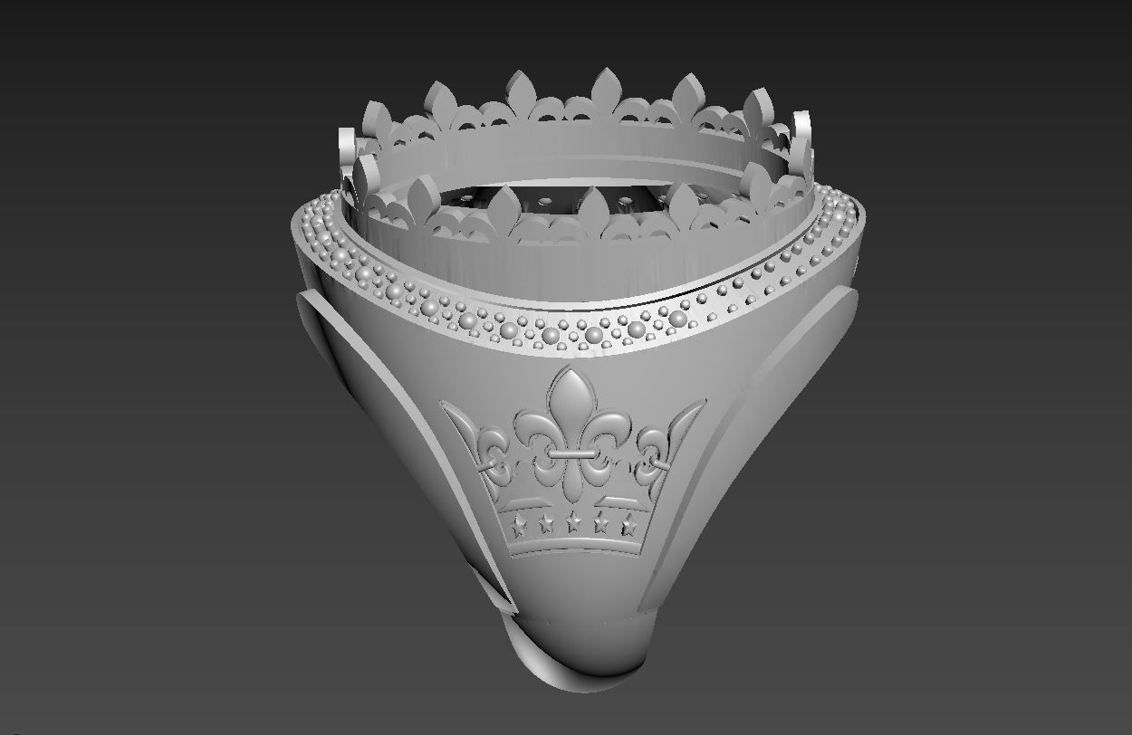 Ring R 63 3D print model_8