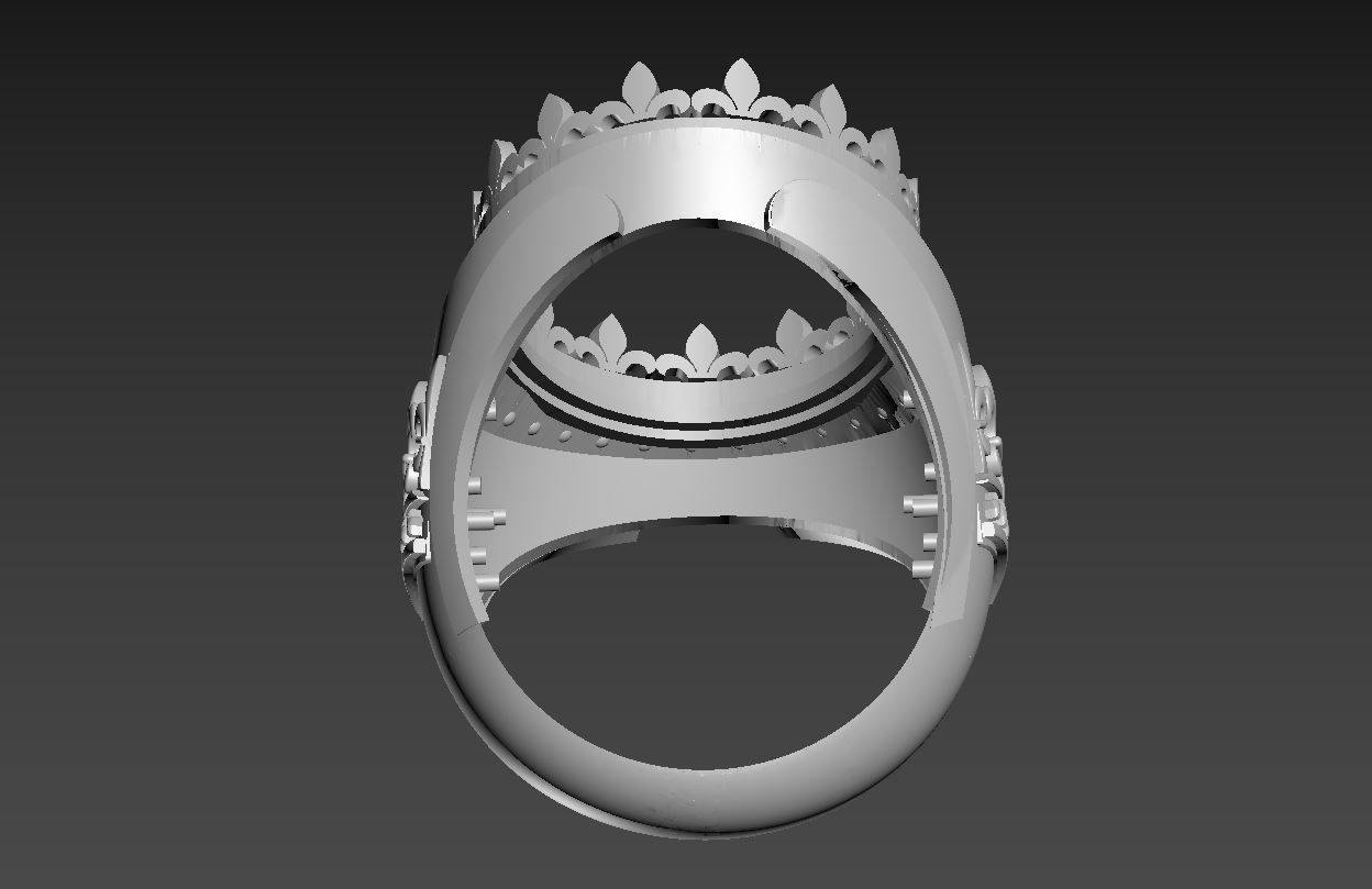 Ring R 63 3D print model_7