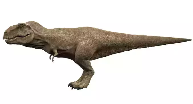 Tyrannosaurus rex 3D model 3D model