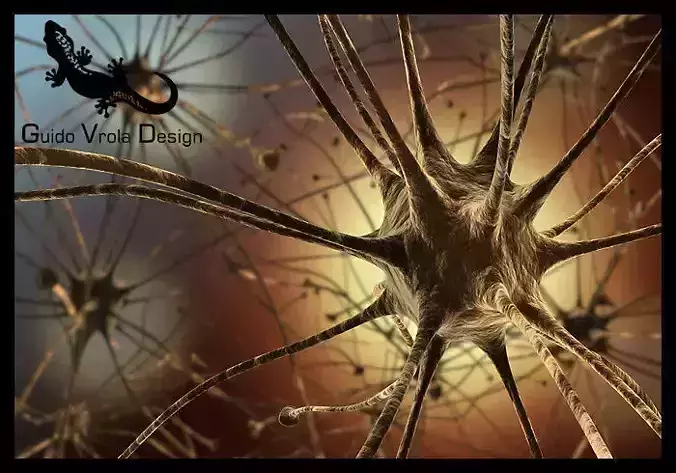 Neurons neocortical in brain 3D model