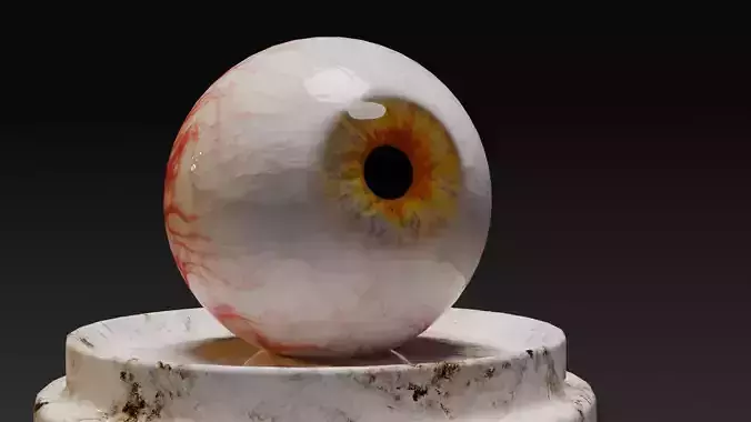 Real Eyeball 3D model