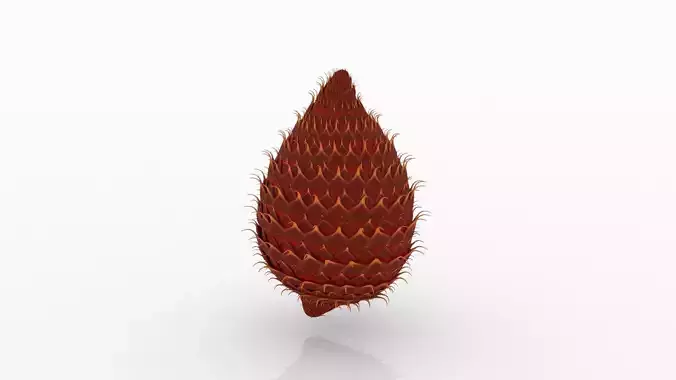 Salak pine cone 3D model