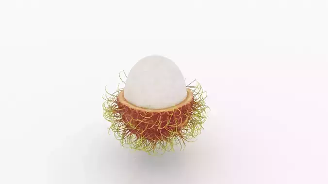 Rambutan Peeled 3D model