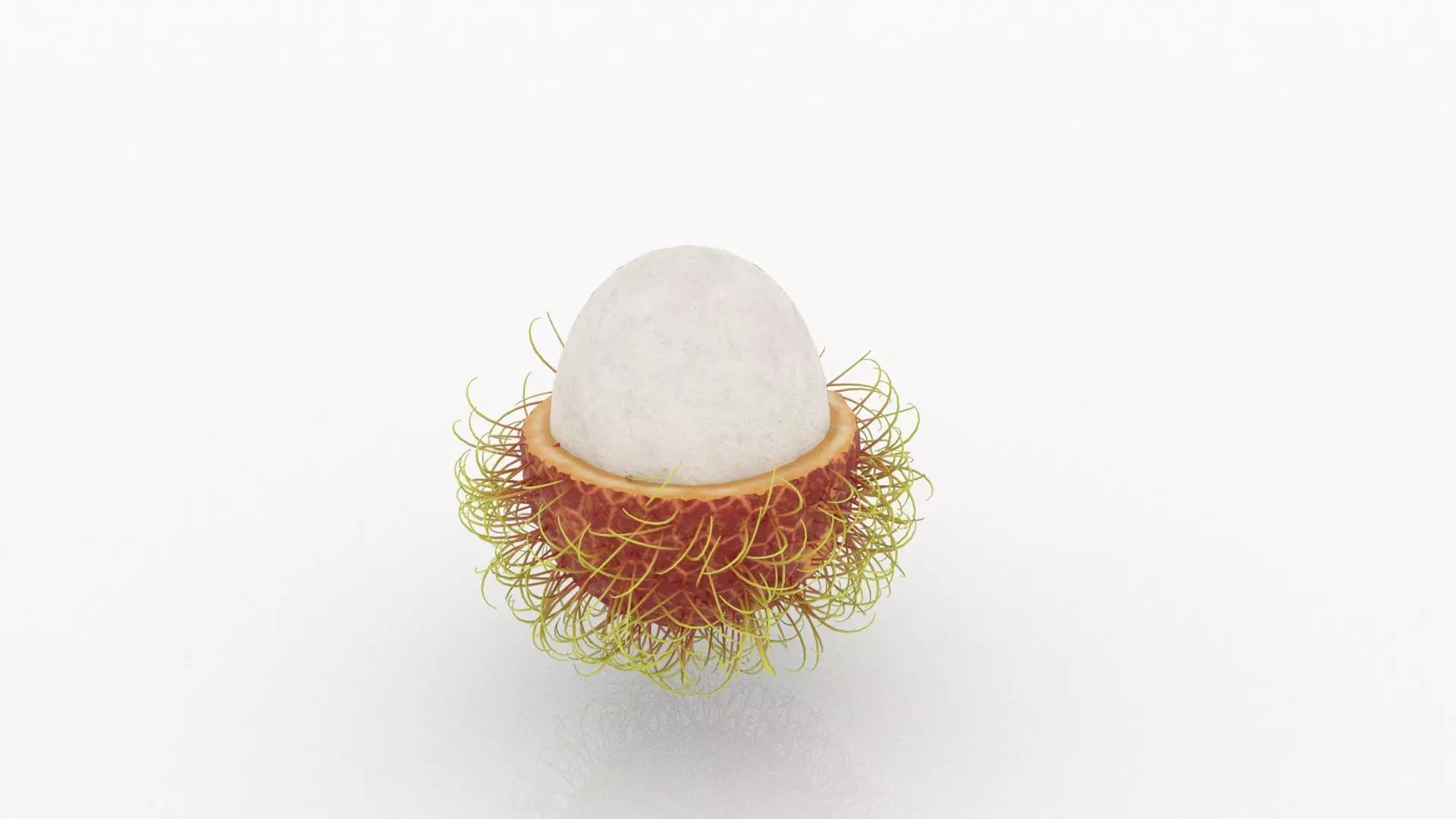 Rambutan Peeled 3D model